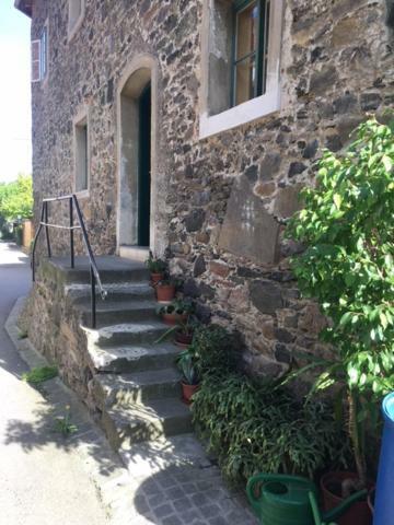 Donaustrand Apartment